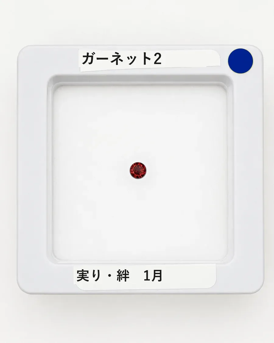 ガーネット2のルース